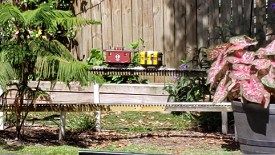 Running DoodleBugs Memorial Day